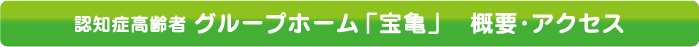 概要・アクセス